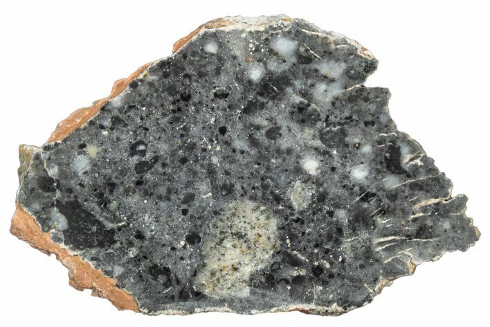 Polished Lunar Meteorite Slice ( g) - NWA #304038